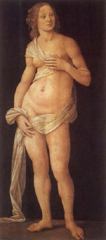 LORENZO DI CREDI Venus